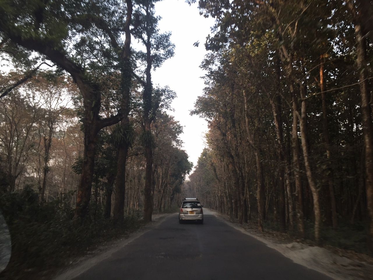 เดินทาง 4 ชั่วโมงจากสนามบินสู่ดาร์จีลิง