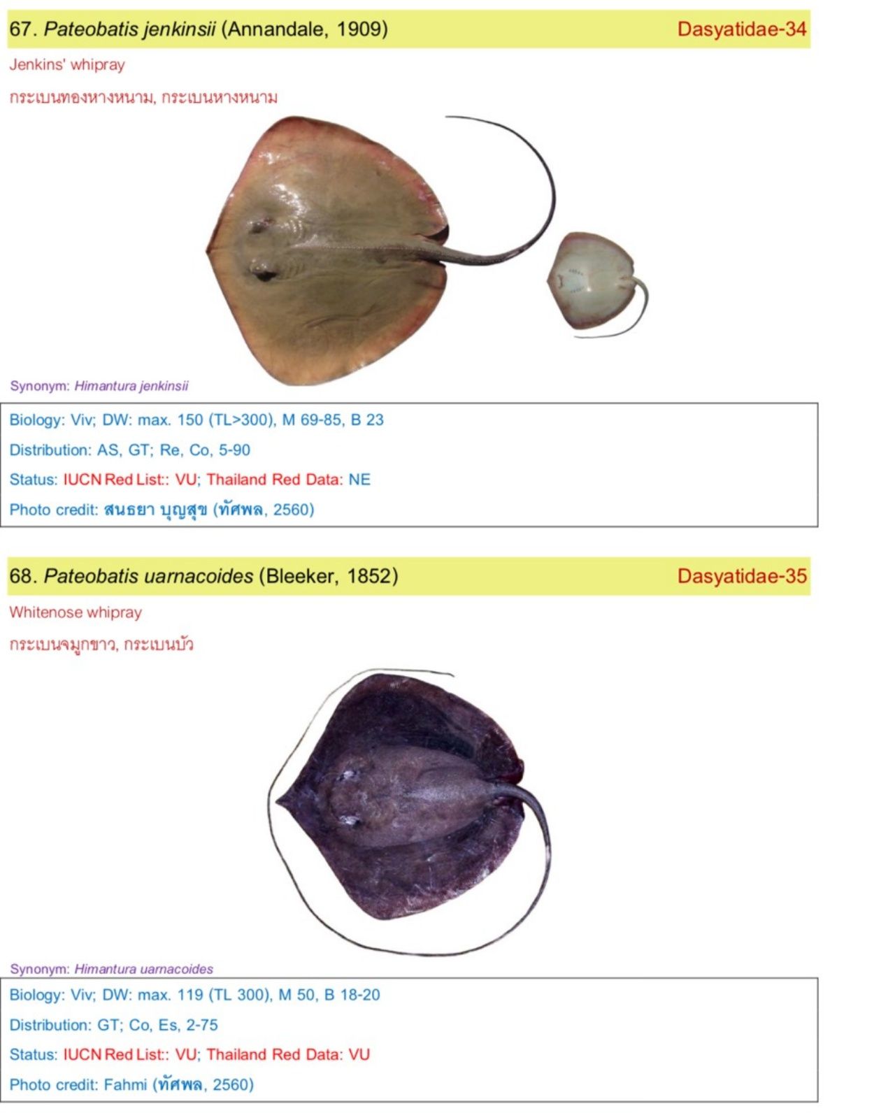 67 ใกล้เคียงกับวัตถุดิบตัวซ้าย-ขวา