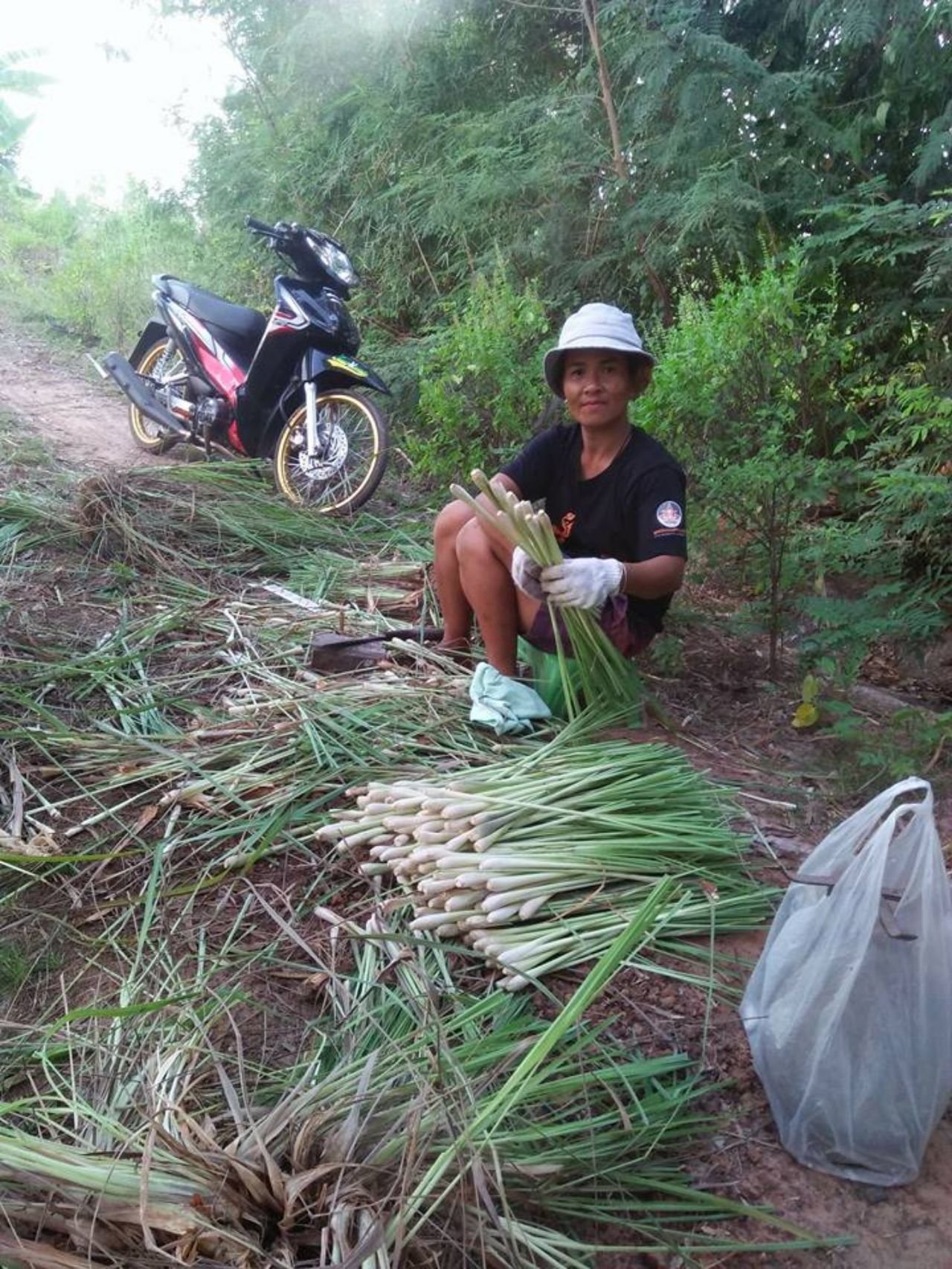 พอกันทีกับคำว่า 