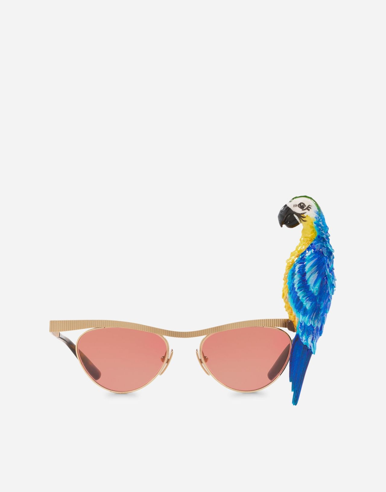 OCCHIALI DA SOLE TROPICAL PARROT จาก Dolce&Gabbana กิมมิกเล็กๆ ที่ช่วยเติมให้คุณโดดเด่น