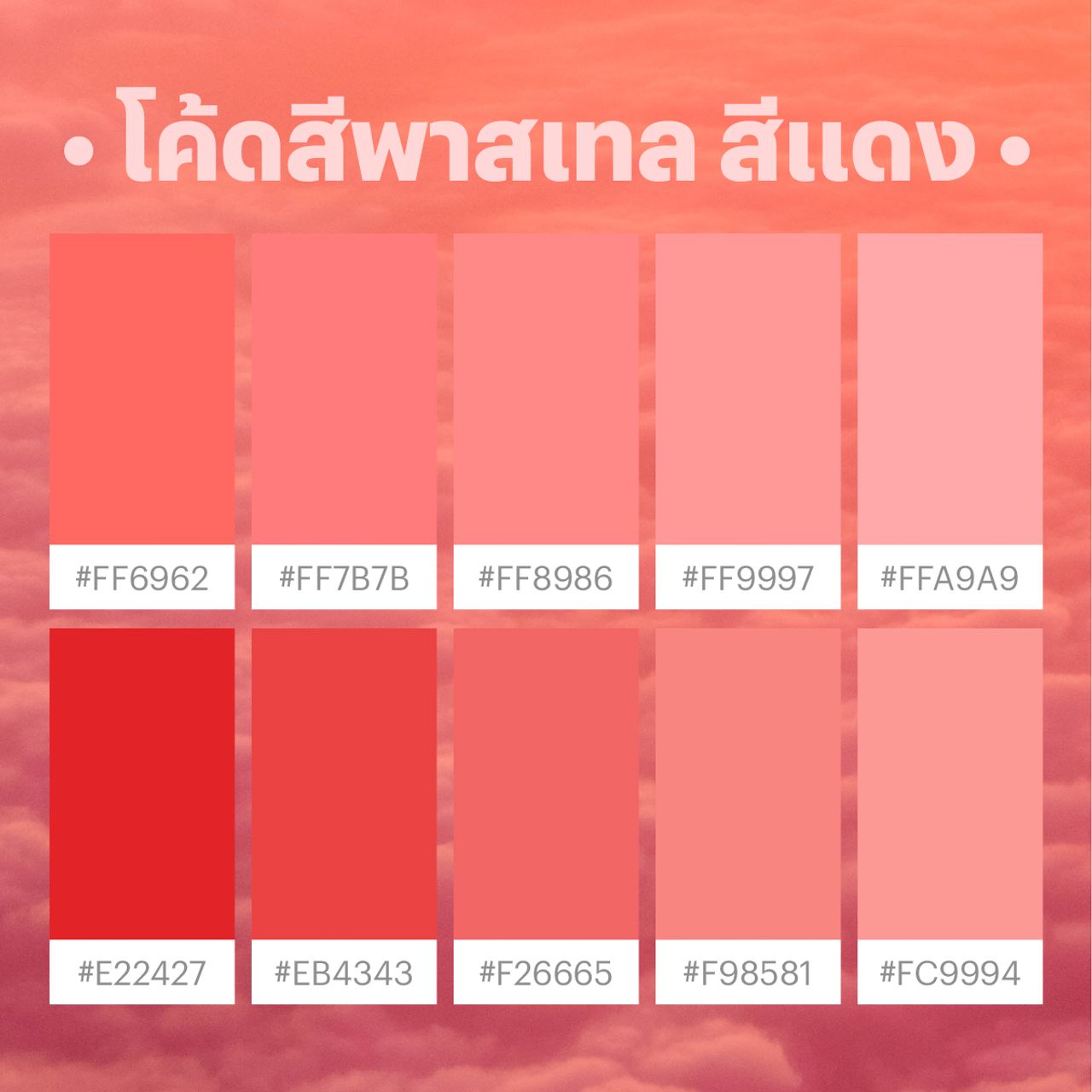 โค้ดสีพาสเทล แดง