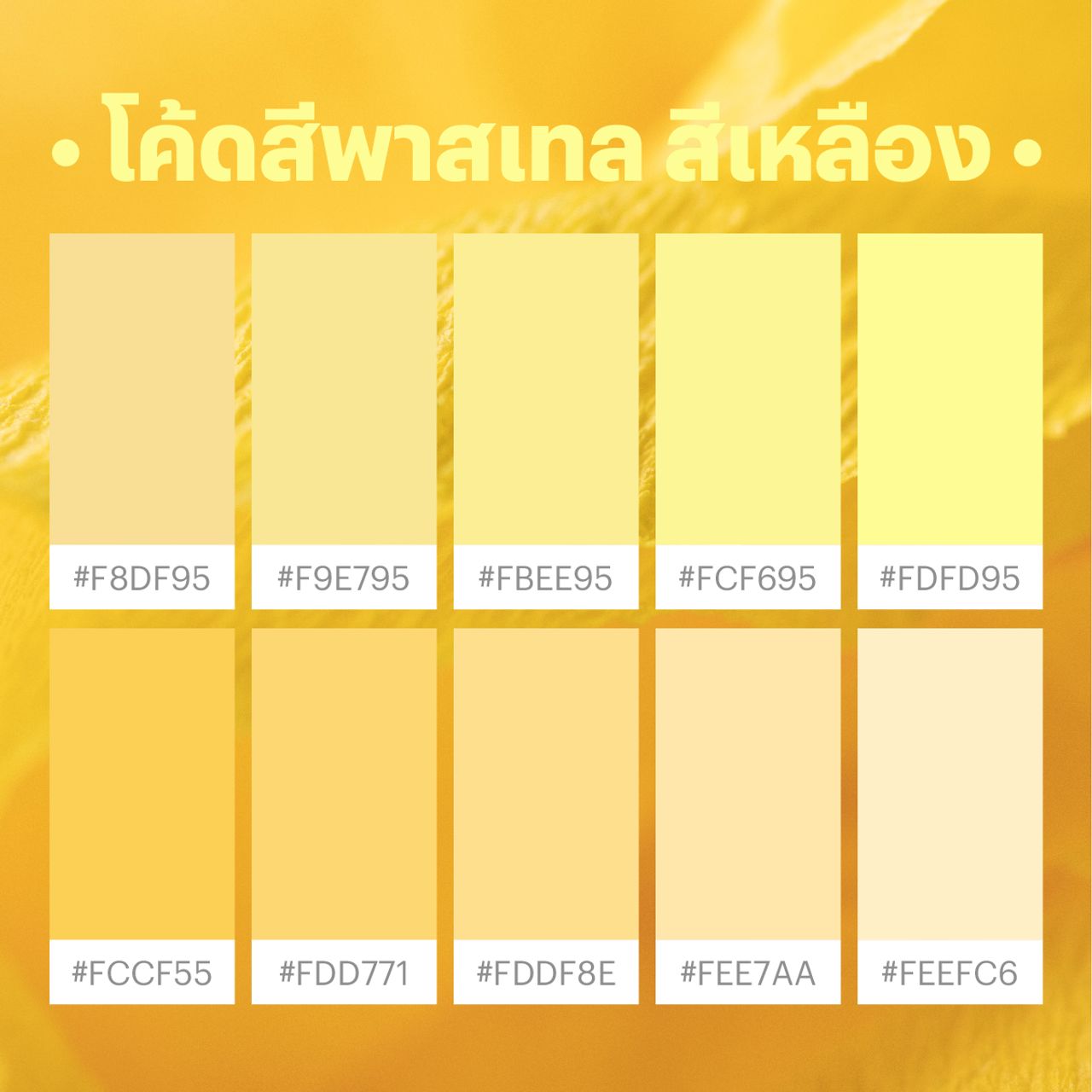 โค้ดสีพาสเทล เหลือง