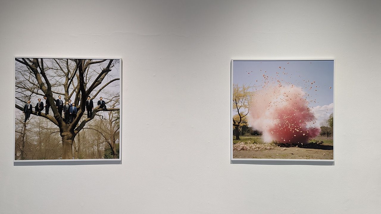 Resonances of the Concealed โดย นภัสรพี อภัยวงศ์