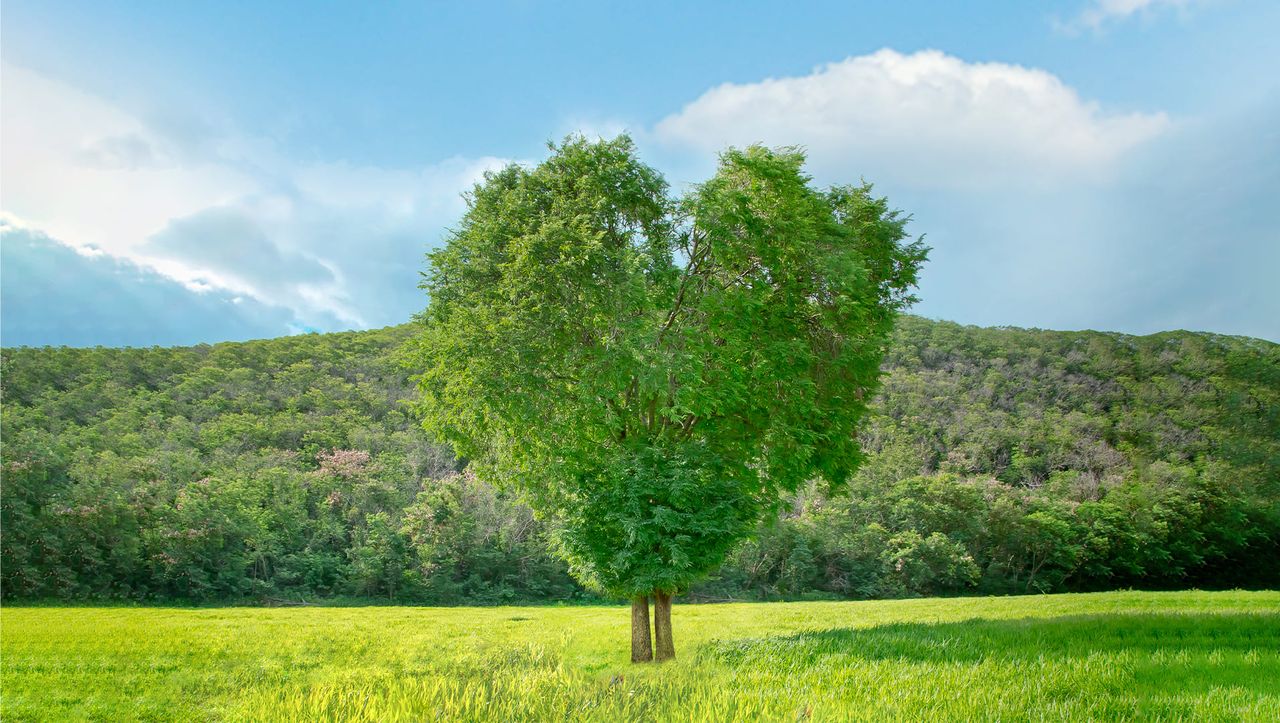 ขอบคุณภาพจากเฟซบุ๊ก ไร่ทองสมบูรณ์คลับ
