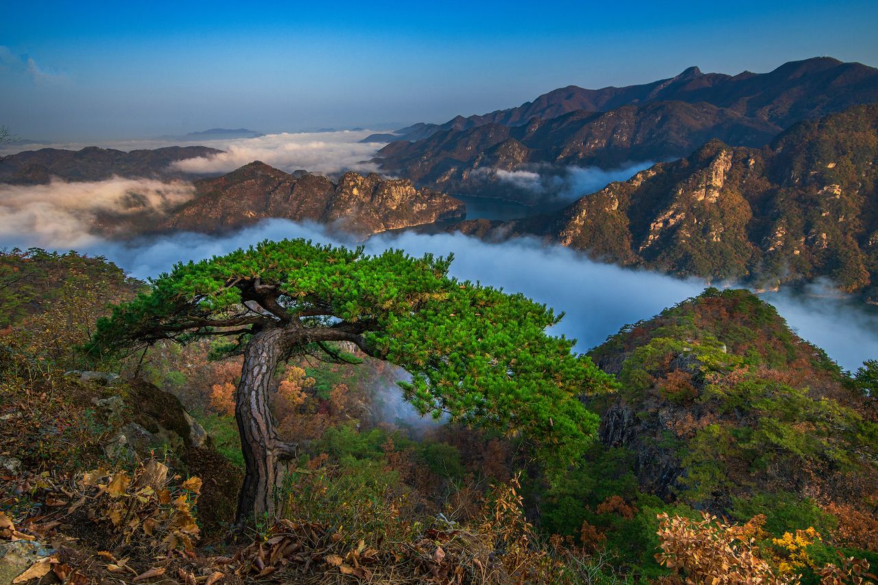 Alishan National Forest Recreation Area