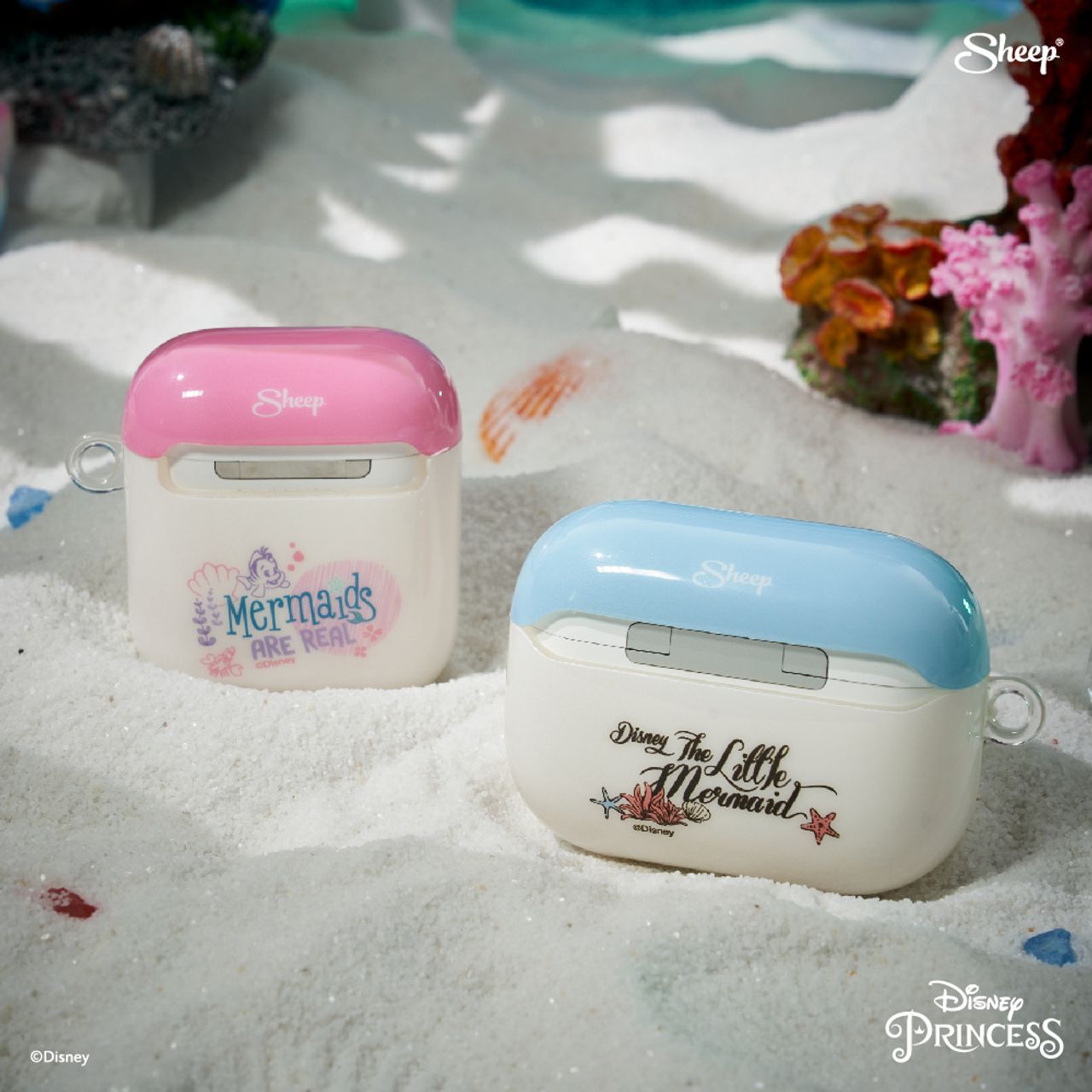 ภาพจากร้าน Applesheep