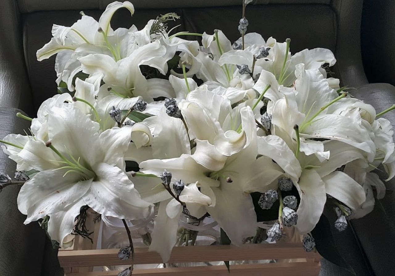 ดอกลิลลี่