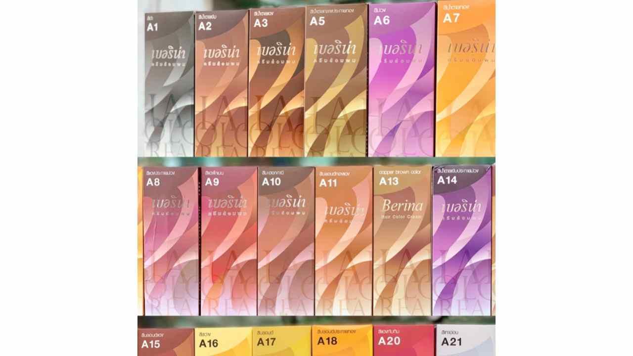 เบอรินา แฮร์ คัลเลอร์ ครีม (Berina Hair Color Cream)