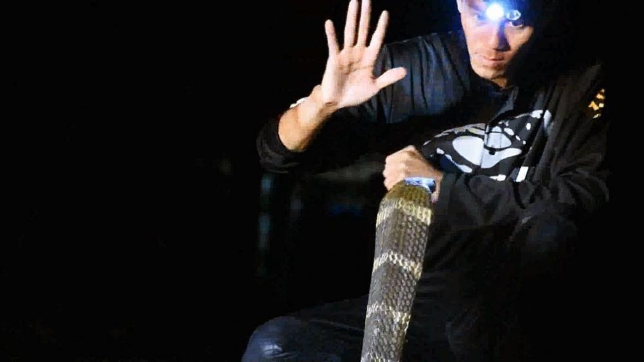 จับงูมือเปล่า เป็นความสามารถเฉพาะตัว