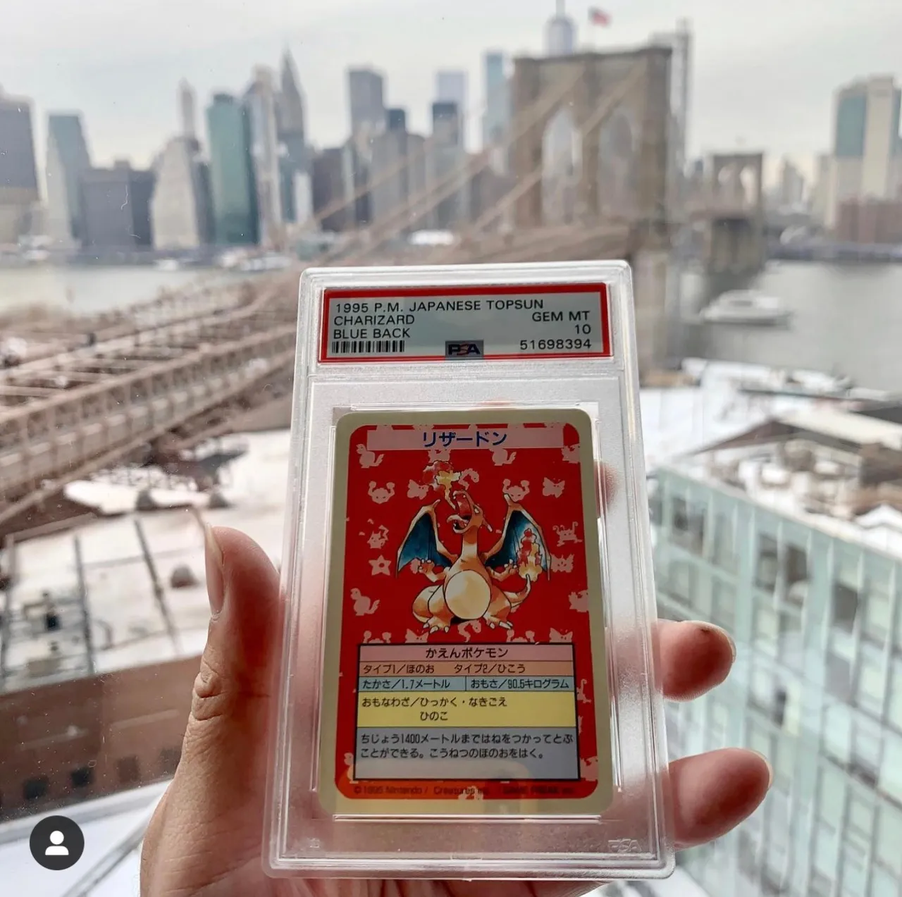 Pokémon topsun charizard