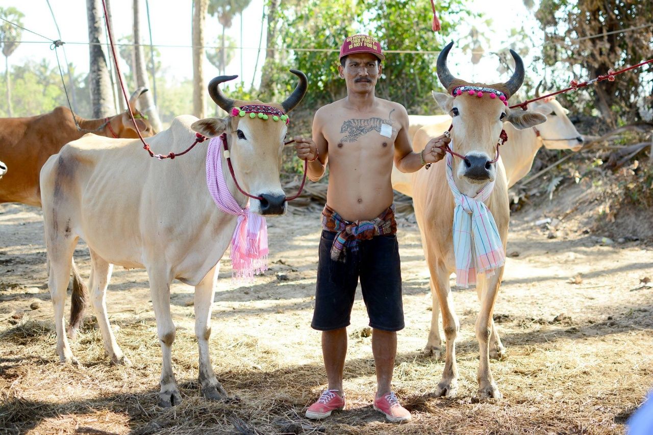 นักเลงวัวลาน