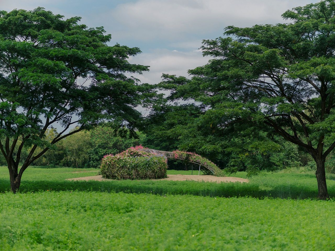 Ligature โดย ศาวิณี บูรณศิลปิน และทอม แดนแนคเกอร์