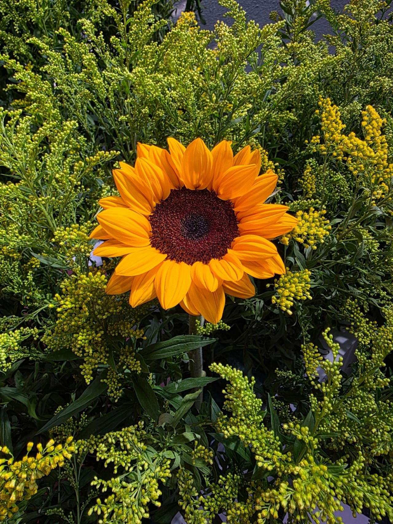 ภาพถ่ายจากกล้อง Galaxy S25 Ultra