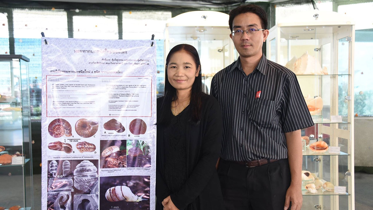 นักวิจัยไทยเจ๋ง ค้นพบหอยทากบกชนิดใหม่ของโลกที่ภูผาล้อมจังหวัดเลย