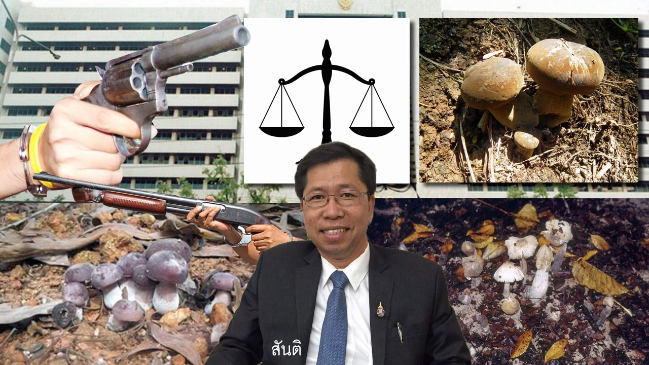 กฎหมายไม่พลิก คดีไม่ดังเส้นเล็ก