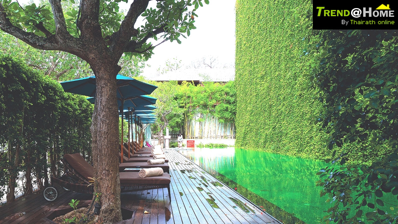 VerticalGarden จัดสวนแนวตั้ง ผนังสีเขียว