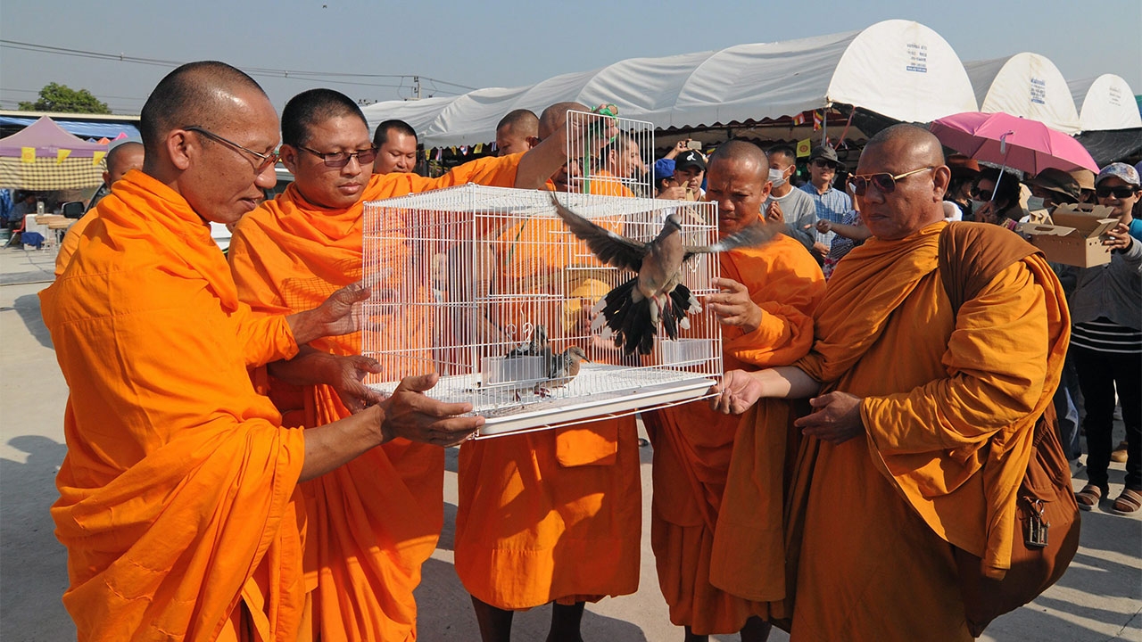 ยกเลิก ม.44