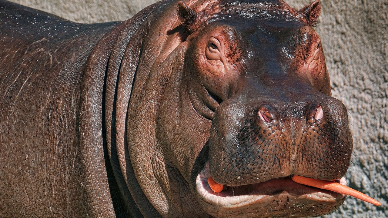 เตรียมย้ายสู่บ้านใหม่