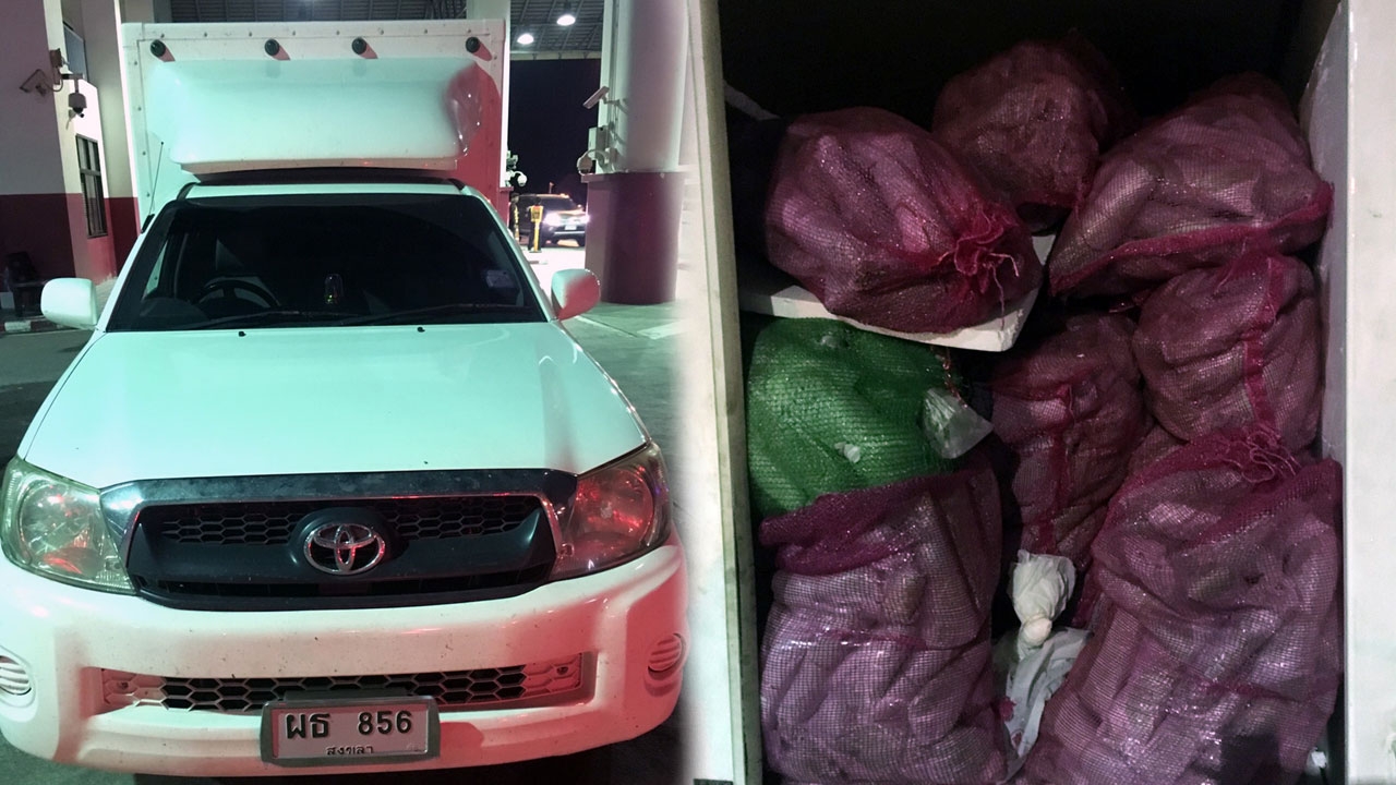หนุ่มขับกระบะ ซุกใบท่อมสด 900 กก.ส่งเอเย่นต์ต่างด้าวที่ภูเก็ต