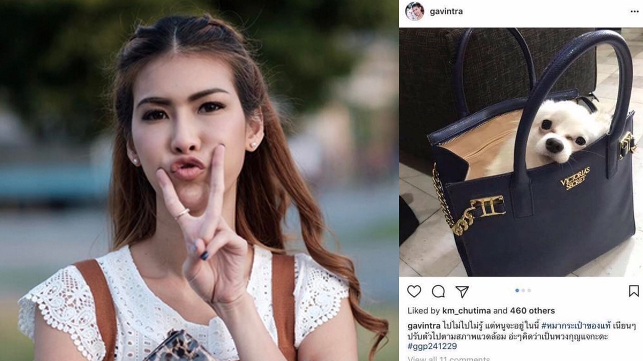 แก้ม กวินตรา แขวะใคร? โพสต์รูปหมาในกระเป๋าวิคตอเรีย ซีเคร็ท!!