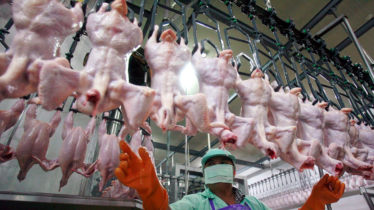 ไทยเฮ! ได้โอกาสขยายตลาด เกาหลีใต้เว้นภาษีนำเข้าไก่ เริ่มต้น เม.ย.