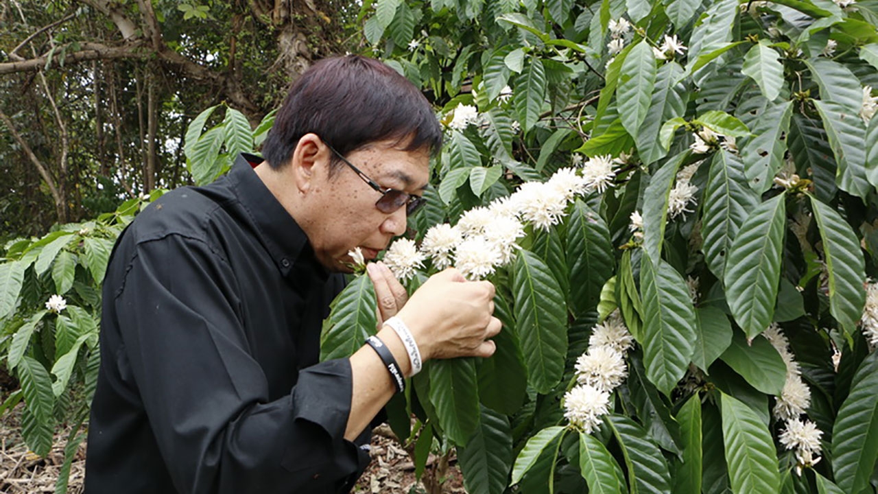 จุดพักรถจ.กำแพงเพชร สัมผัสไร่กาแฟ-กราบพระพิฆเนศศิลาแลงใหญ่สุดในโลก