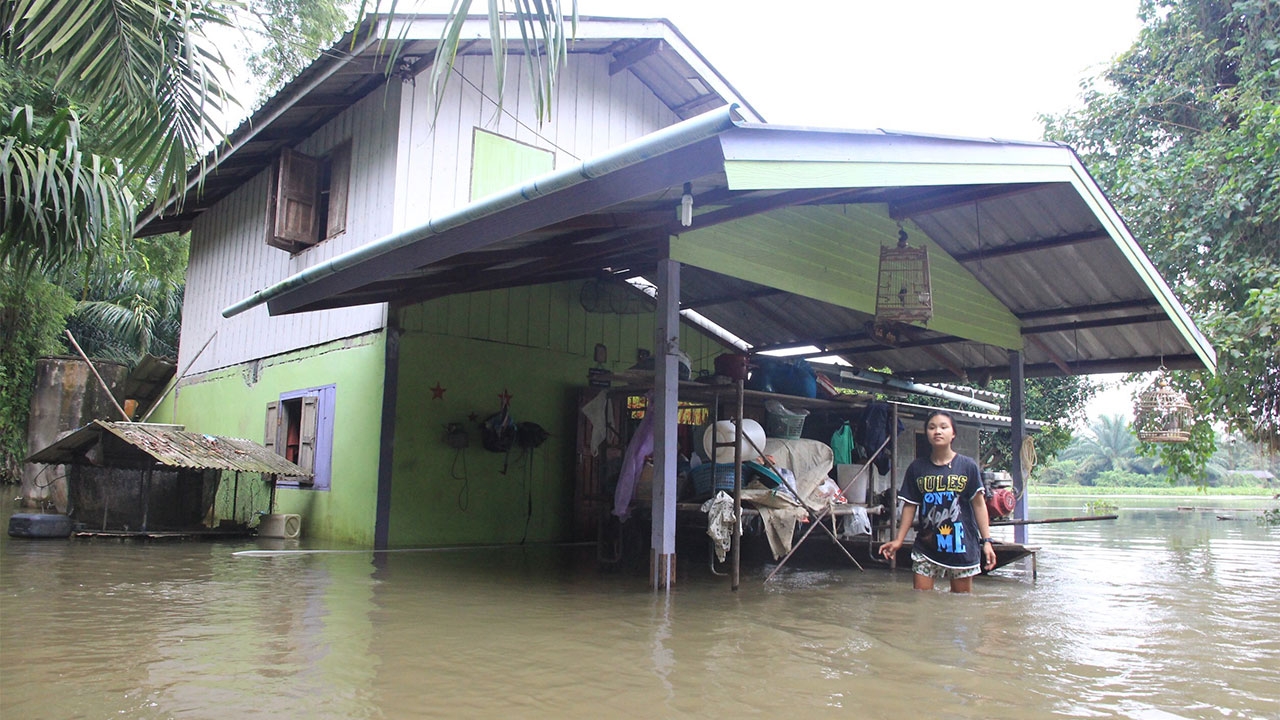 ท่วมขังนาน 2 สัปดาห์ ชาวบ้านริมแม่น้ำตาปีอ่วม จนท.สุราษฎร์ฯ เร่งช่วย