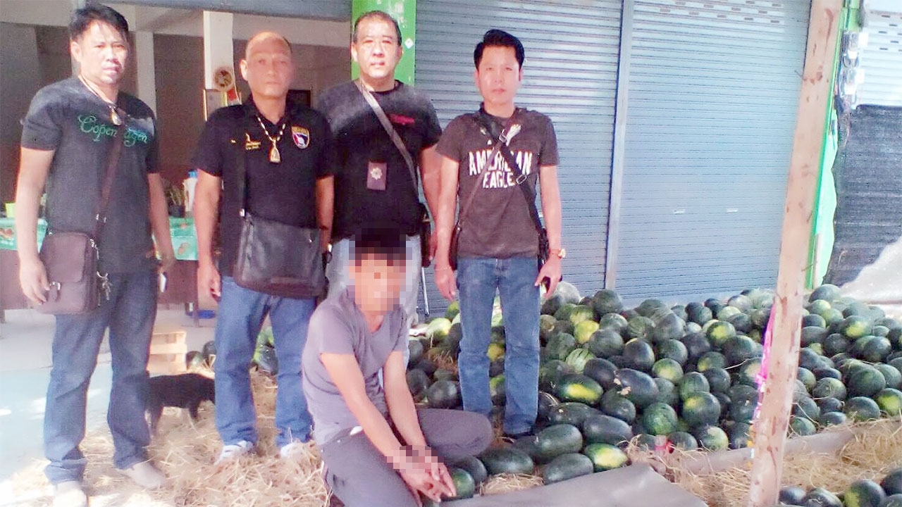 ตร.สุโขทัยจับพ่อค้าแตงโม ขายขาดทุนเลยปล่อยยาบ้าเสริมรายได้