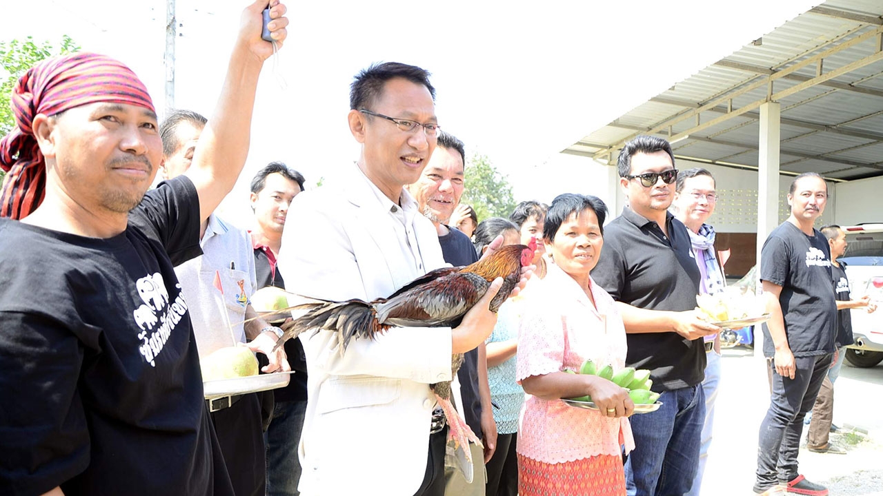 ฮือฮา! ทุ่ม 3 แสน สู่ขอไก่สาวเมืองย่าโม แต่งไก่ชนหลักล้านเมืองจันท์