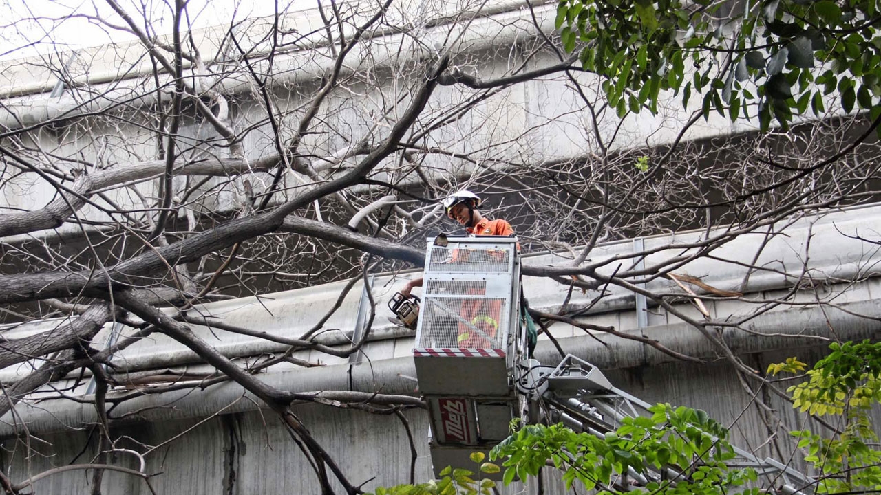 รถไฟฟ้า บีทีเอส เปิดบริการใช้งานได้เป็นปกติ แล้ว