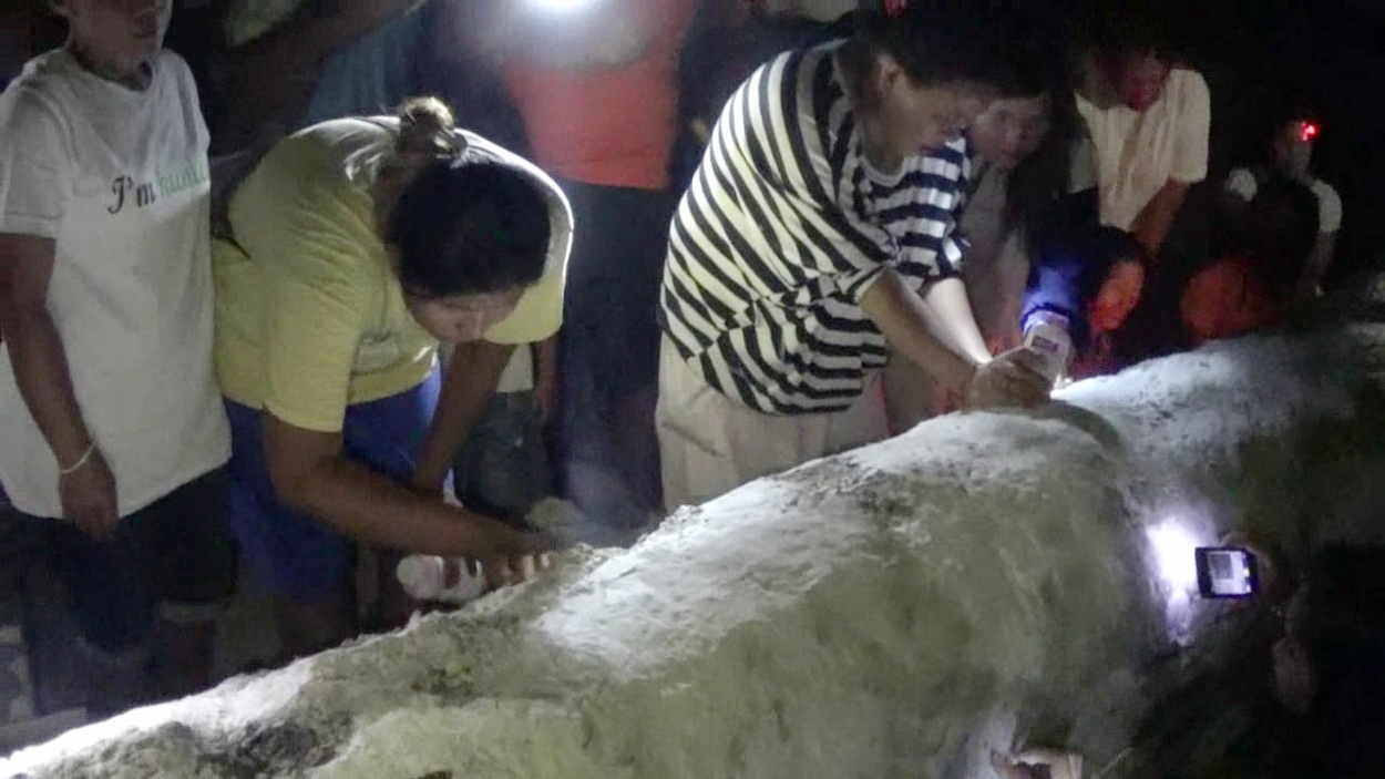 เฮี้ยน ตะเคียน 302 ปี! ชาวบ้านแห่ส่องเทียน ขูดเลขกลางดึก