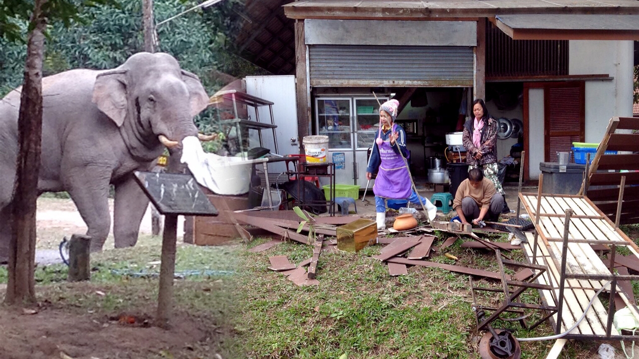 ระทึกอีกรอบ! เจอ_้าง 'ไอ้ด้วน' รื้อร้านอาหารเขาใหญ่ 