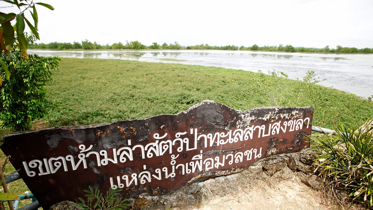 ชู 'ช่องฟืนโมเดล' อนุรักษ์-จับสัตว์น้ำทะเลสาบสงขลา