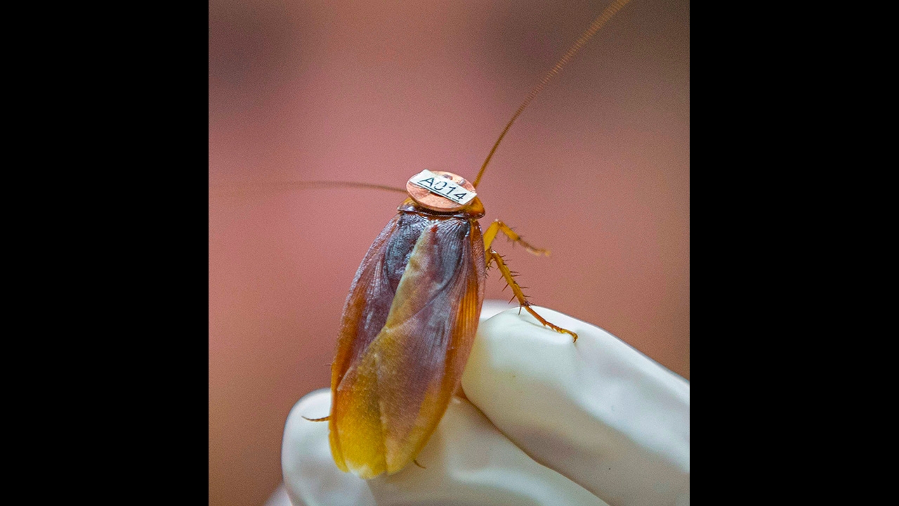 โลกาภิวัตน์ 13/03/58