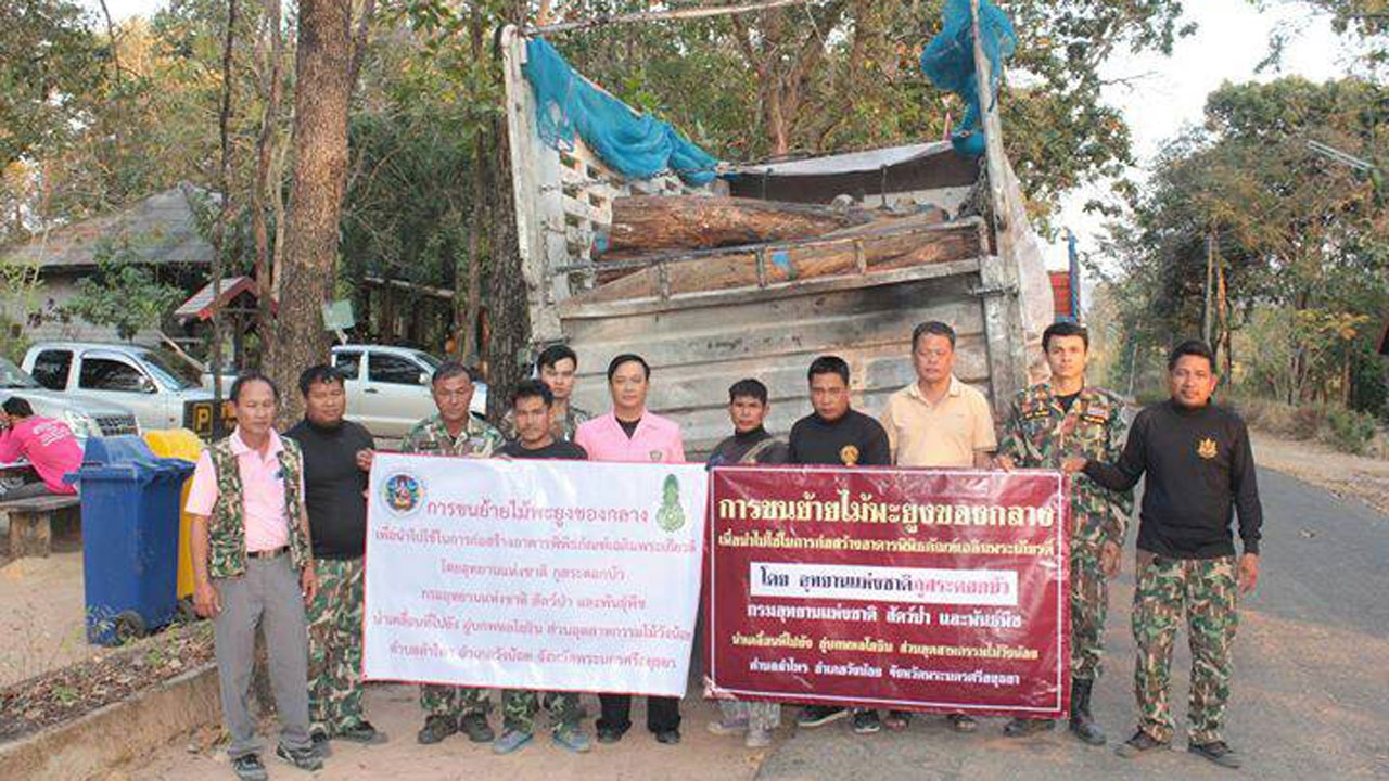 อุทยานฯ ภูสระดอกบัว ขนไม้พะยูง สร้างพิพิธภัณฑ์ไม้มีค่าที่อยุธยา