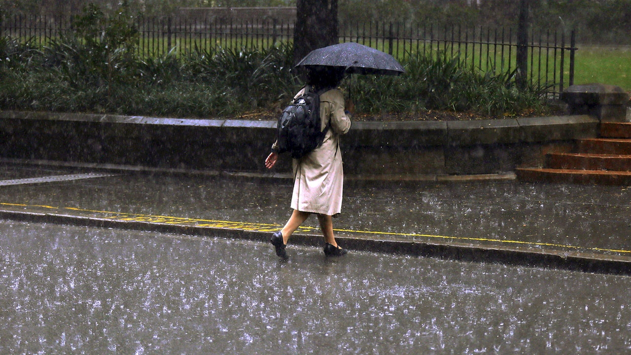 เตือนหน้าฝนงดลุยน้ำ เสี่ยง 'โรคเมลิออยโดสิส' ตั้งแต่ต้นปีตายแล้ว 11 คน