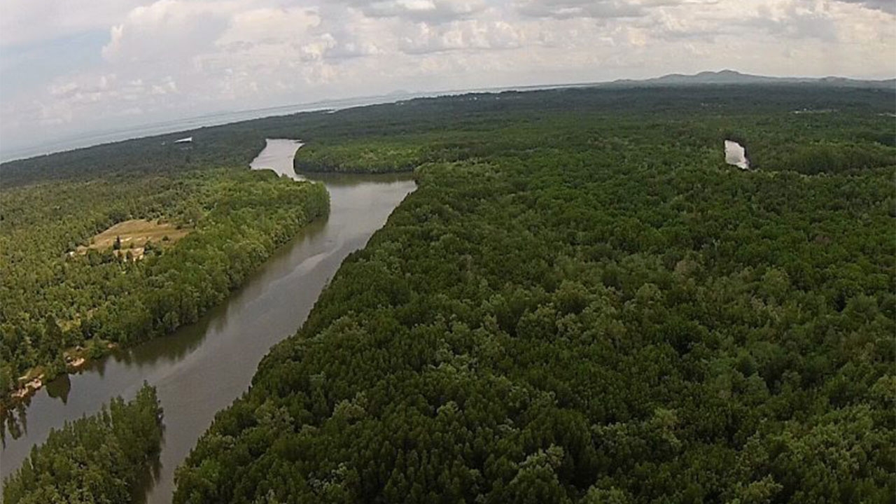 กระแทกเอกชนตัวการรุกป่า ทำท่าปลูกต้นไม้ถ่ายรูปโชว์!