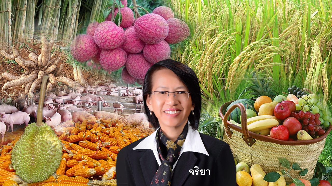 จับยามสามตาปี’60 เกษตรไทยขาขึ้น
