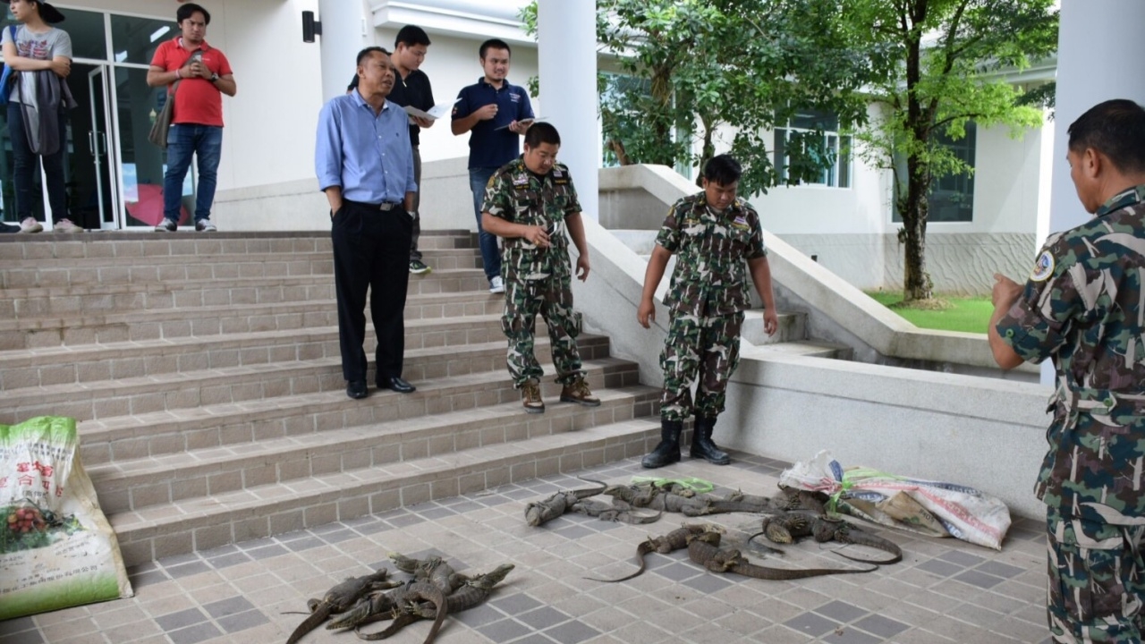 จับเรือลาว ขน 'แลน' 15 ตัว ใส่กระสอบขายฝั่งไทย เผยคนนิยมแกงอ่อม