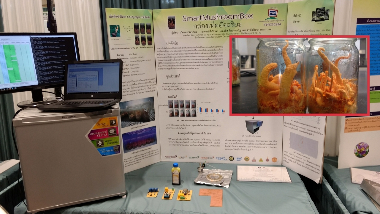 ชวนรู้จัก 'ตู้เย็นโดราเอมอน' นวัตกรรมเพาะเห็ดแบบใหม่ เร่งโตเร็วได้ 18%