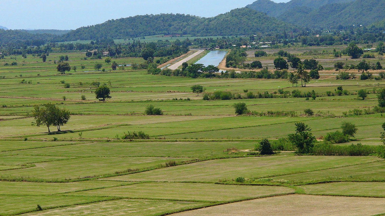 คนรวยหวั่นภาษี แห่นำที่ดินเปล่าทำมาหากิน ดันยอดจดธุรกิจใหม่เม.ย.พุ่ง!