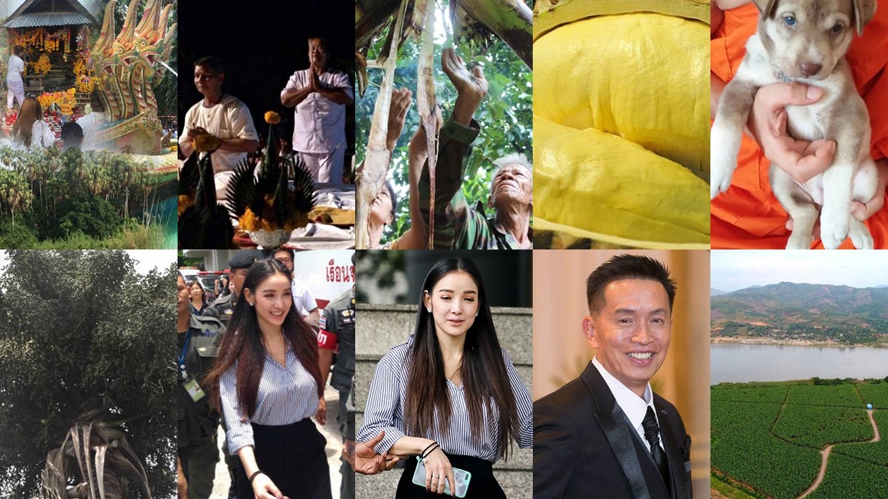 สรุปข่าวเด่นรอบวัน ประจำวันที่ 15 พ.ค. 60 เวลา 06.00-18.00 น.