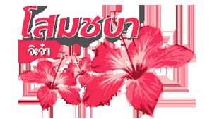 โสมชบาจ๊ะจ๋า 20/05/60