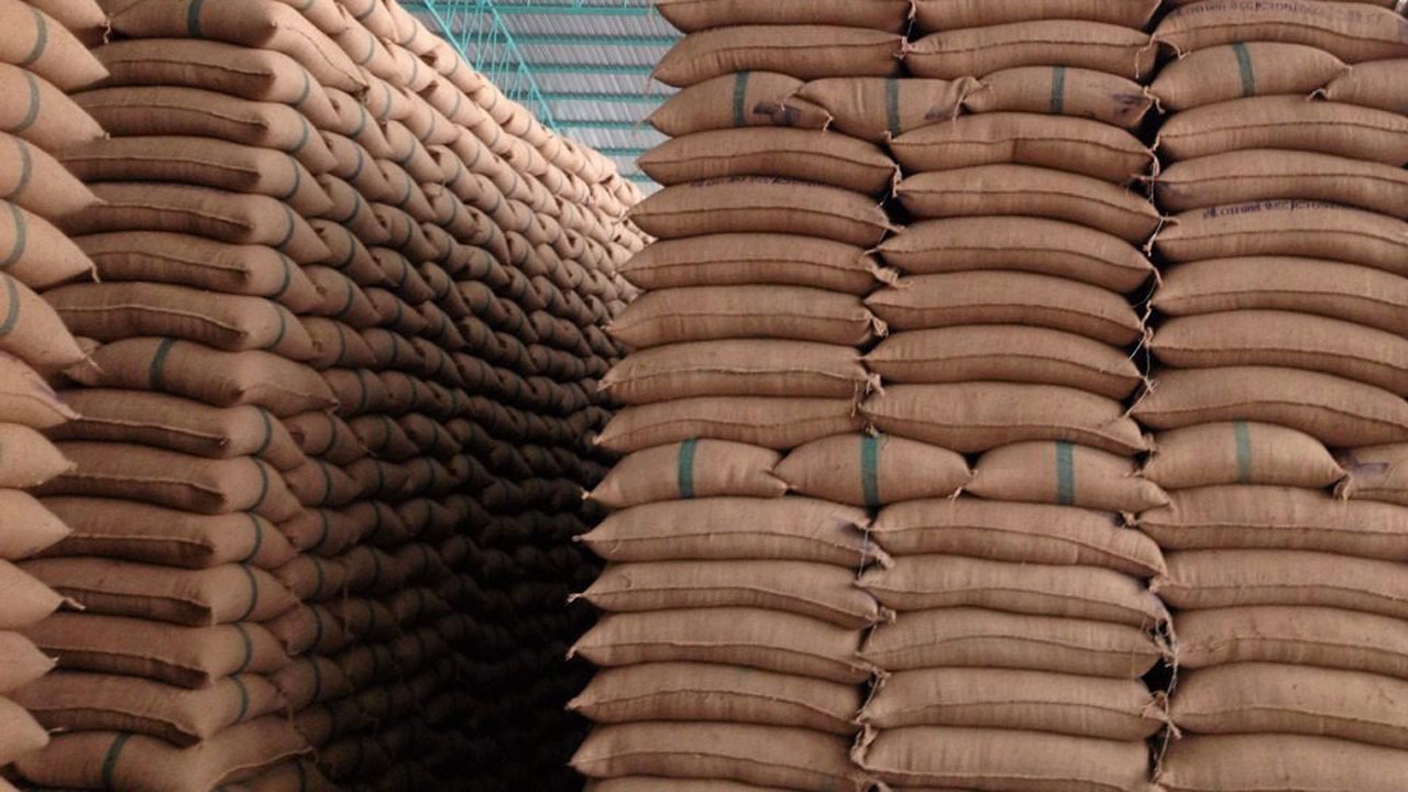 22 เอกชนแห่ยื่นคุณสมบัติประมูลข้าวเสื่อม 1.04 ล้านตัน