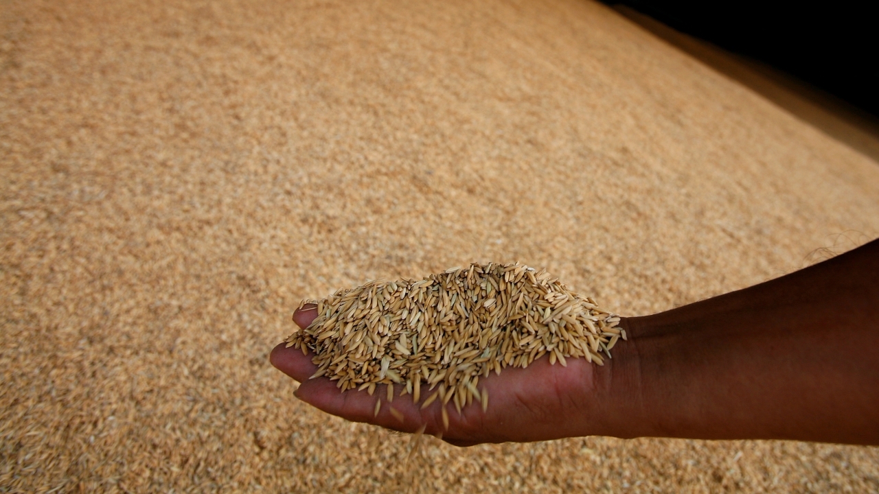 คปภ.ลดดอกเบี้ย-เพิ่มความคุ้มครองข้าวนาปี ฤดูกาลผลิต 60-61