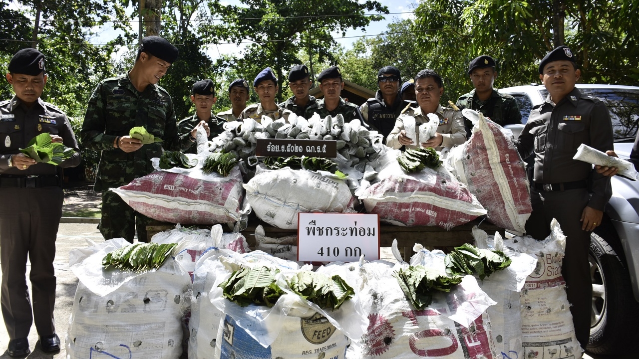 จับตาอาชีพใหม่มาแรง โจ๋ใต้ขับรถหนีไฟแนนซ์ รับจ้างขน ‘ใบกระท่อม’