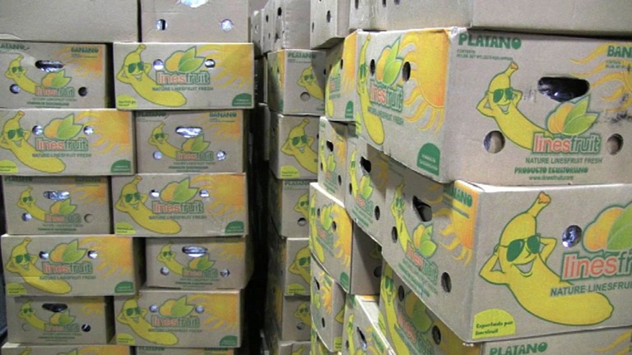 เบลเยียมจับโคเคน 3 ตันซุกในลังกล้วยที่ท่าเรืออันทเวิร์ป