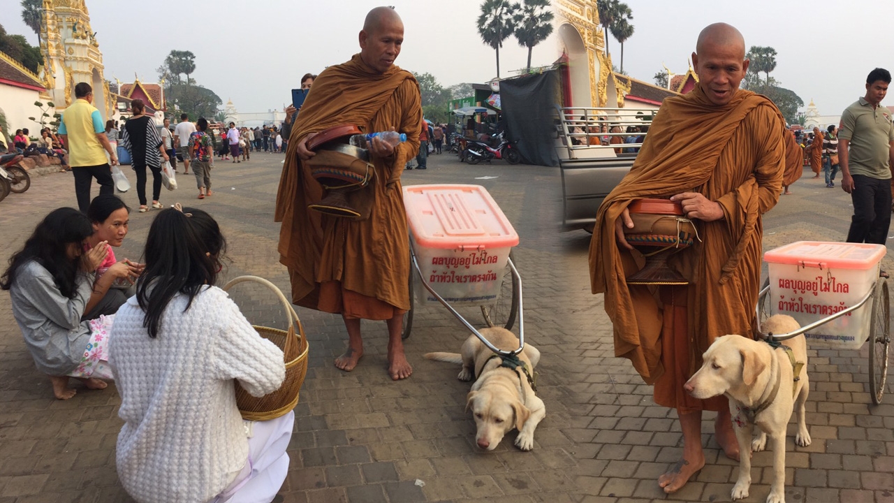 'หลินปิง' สุนัขแสนรู้! ลากรถเข็น ช่วยพระรับของบิณฑบาต