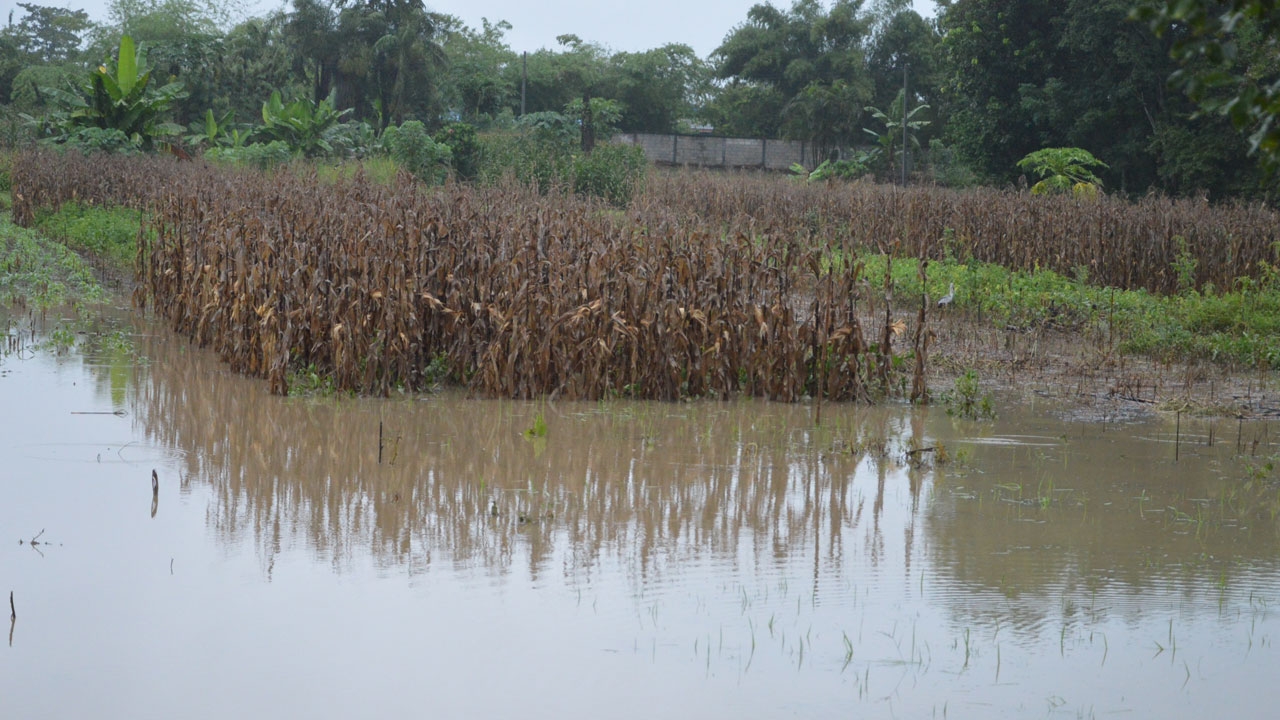 ฝนถล่ม น้ำป่าจากเขาคลองลาน ไหลบ่าท่วมพื้นที่เกษตร ในกำแพงเพชร