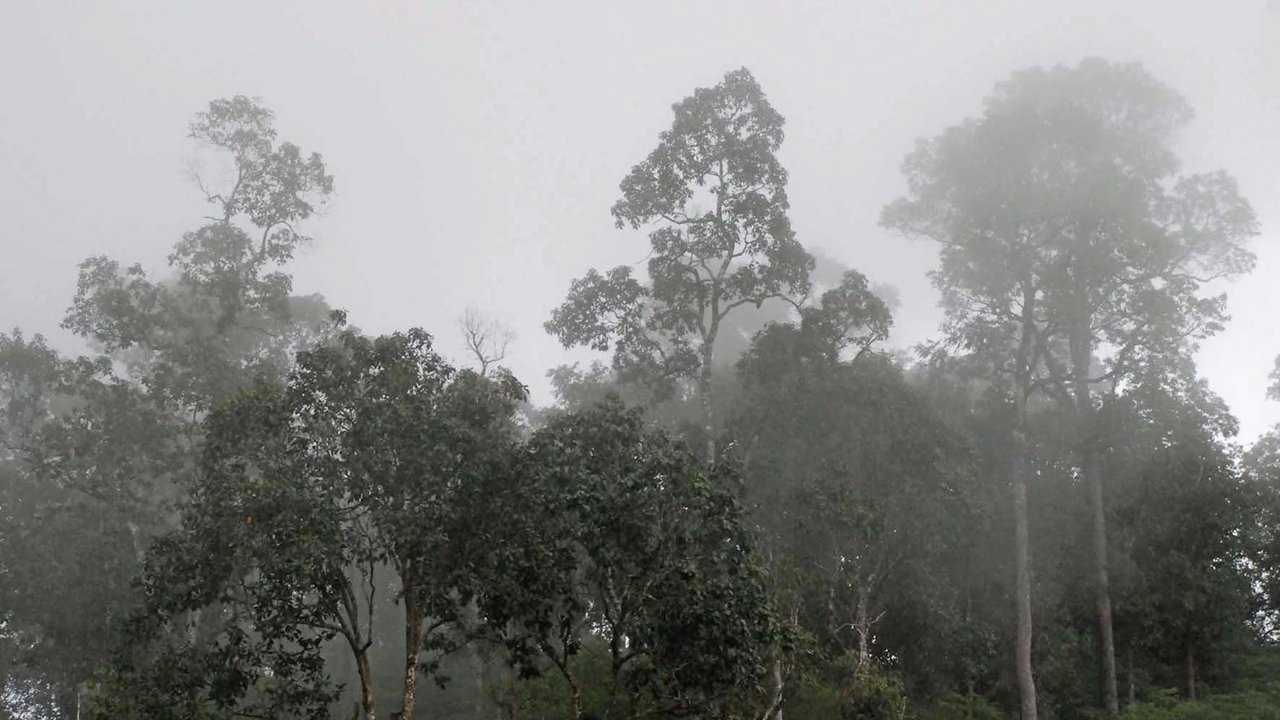 เที่ยวป่าหน้าฝนบ้านจองเต็มทุกเสาร์อาทิตย์